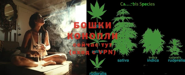 гидропоника Алзамай