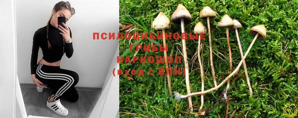 герыч Алексеевка
