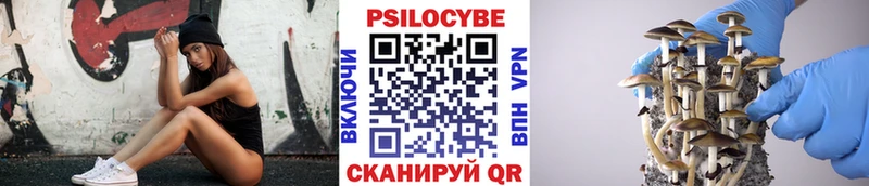 Галлюциногенные грибы MAGIC MUSHROOMS Переславль-Залесский