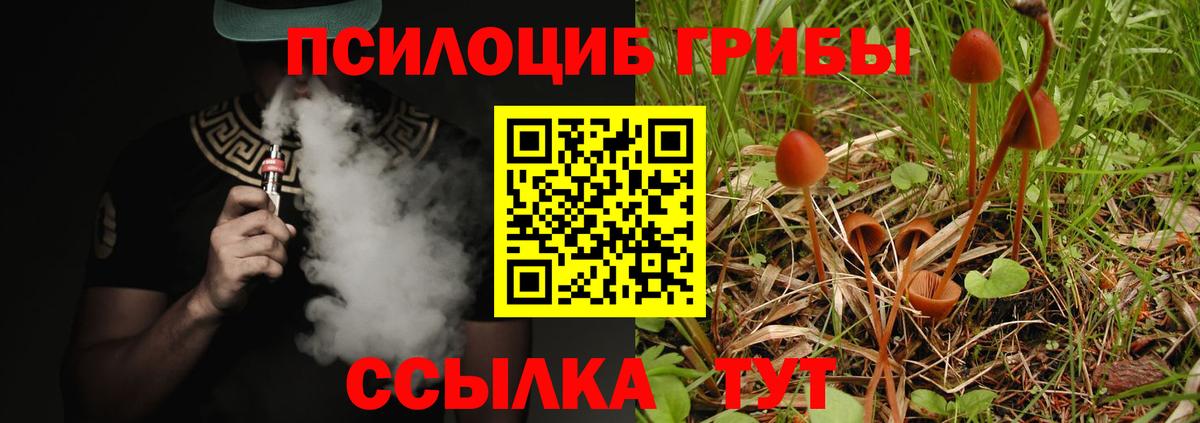 Псилоцибиновые грибы мухоморы Переславль-Залесский